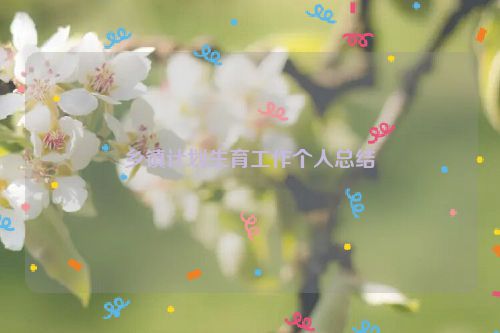 乡镇计划生育工作个人总结