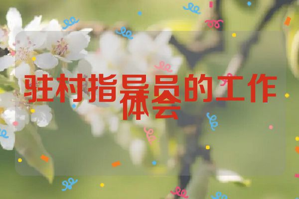 驻村指导员的工作体会