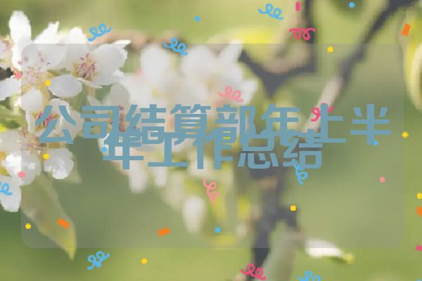 公司结算部年上半年工作总结