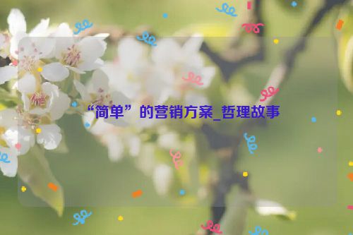 “简单”的营销方案_哲理故事