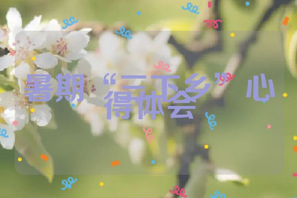 暑期“三下乡”心得体会