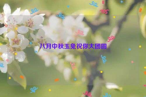 八月中秋玉兔祝你大团圆
