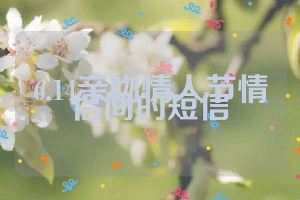 6.14亲吻情人节情侣间的短信