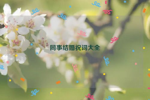 同事结婚祝词大全