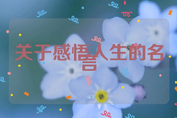 关于感悟人生的名言