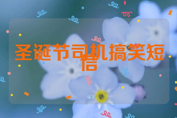 圣诞节司机搞笑短信