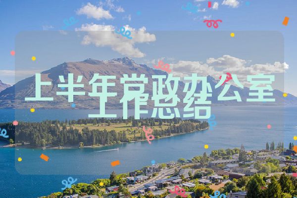上半年党政办公室工作总结