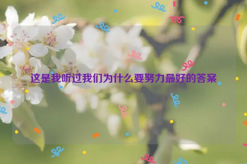 这是我听过我们为什么要努力最好的答案