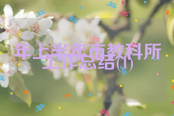 年上半年市教科所工作总结(1)