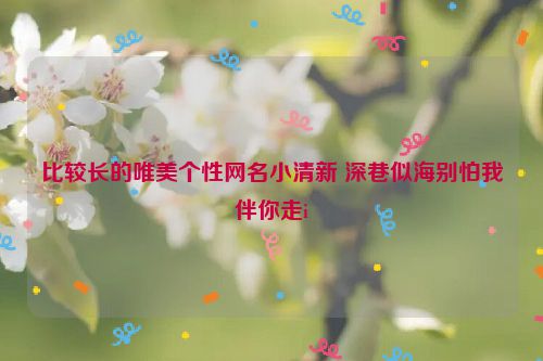比较长的唯美个性网名小清新 深巷似海别怕我伴你走i