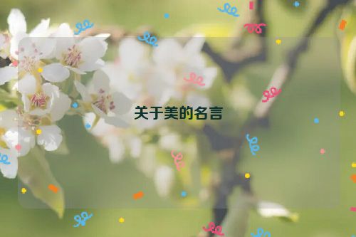 关于美的名言