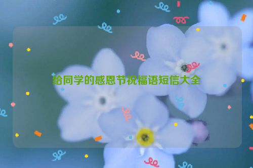 给同学的感恩节祝福语短信大全