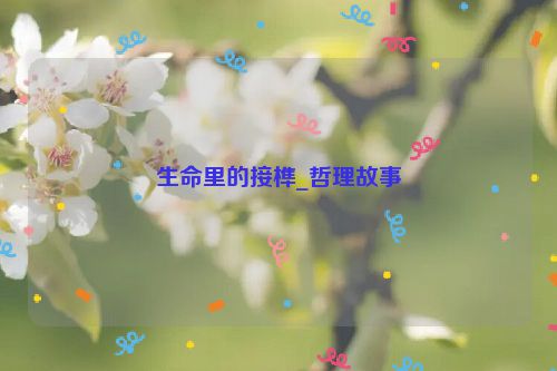 生命里的接榫_哲理故事