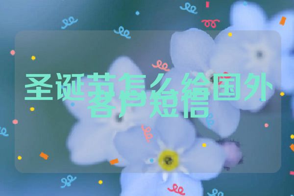 圣诞节怎么给国外客户短信