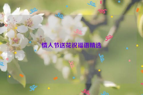 情人节送花祝福语精选