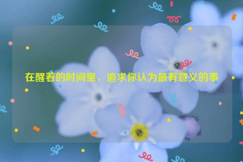 在醒着的时间里，追求你认为最有意义的事