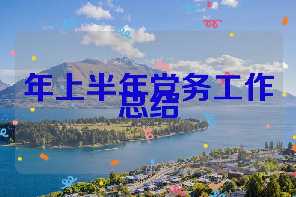 年上半年党务工作总结