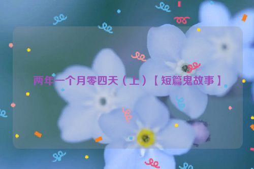 两年一个月零四天（上）【短篇鬼故事】