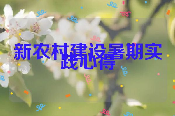 新农村建设暑期实践心得