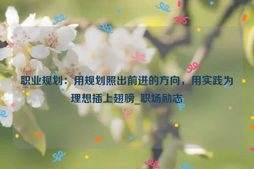 职业规划：用规划照出前进的方向，用实践为理想插上翅膀_职场励志