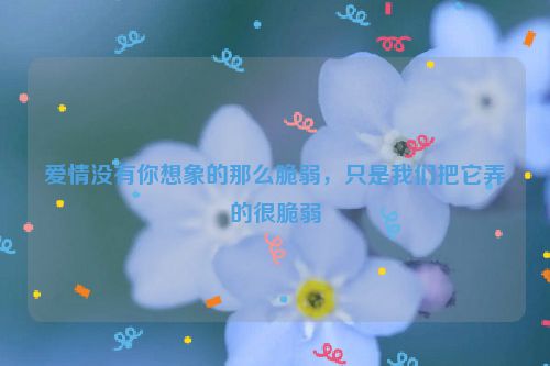 爱情没有你想象的那么脆弱，只是我们把它弄的很脆弱