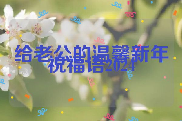 给老公的温馨新年祝福语2024