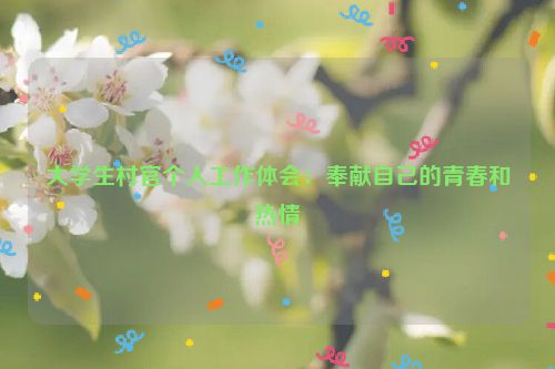 大学生村官个人工作体会：奉献自己的青春和热情
