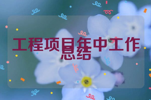 工程项目年中工作总结