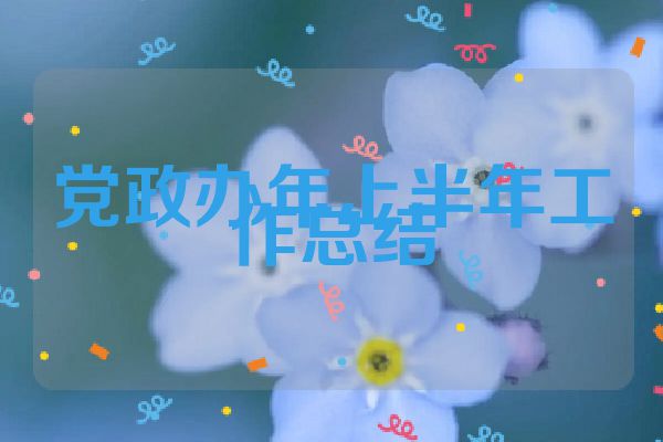 党政办年上半年工作总结