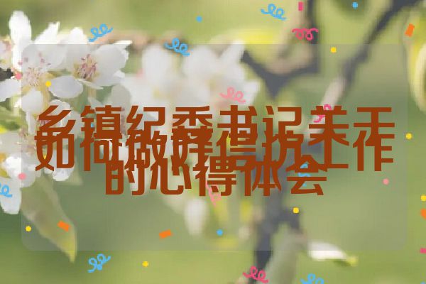 乡镇纪委书记关于如何做好信访工作的心得体会