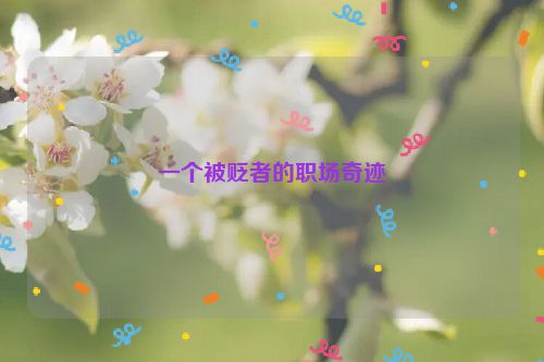 一个被贬者的职场奇迹