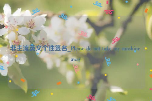 非主流英文个性签名_Please do not take my sunshine away