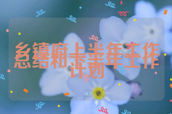 乡镇府上半年工作总结和下半年工作计划
