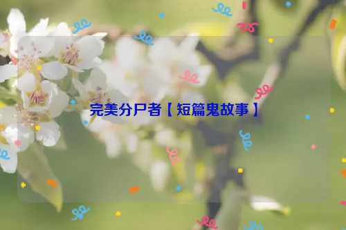 完美分尸者【短篇鬼故事】