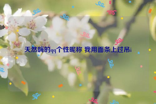 天然嗨的qq个性昵称 我用面条上过吊i