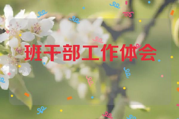 班干部工作体会