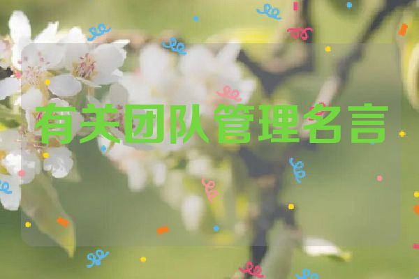 有关团队管理名言