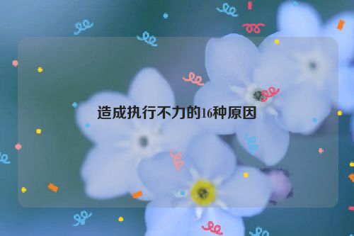 造成执行不力的16种原因