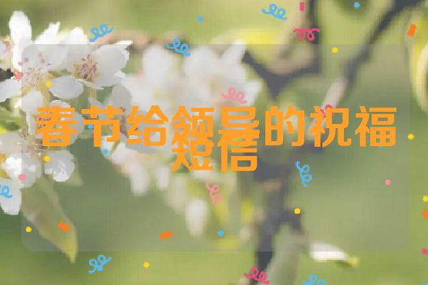 春节给领导的祝福短信