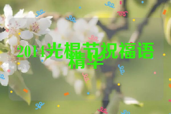 2014光棍节祝福语精华