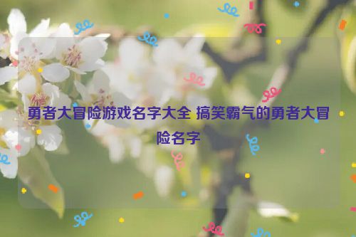 勇者大冒险游戏名字大全 搞笑霸气的勇者大冒险名字