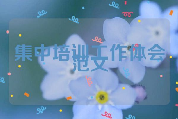 集中培训工作体会范文