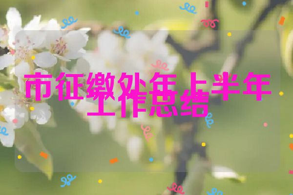 市征缴处年上半年工作总结