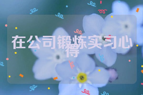 在公司锻炼实习心得