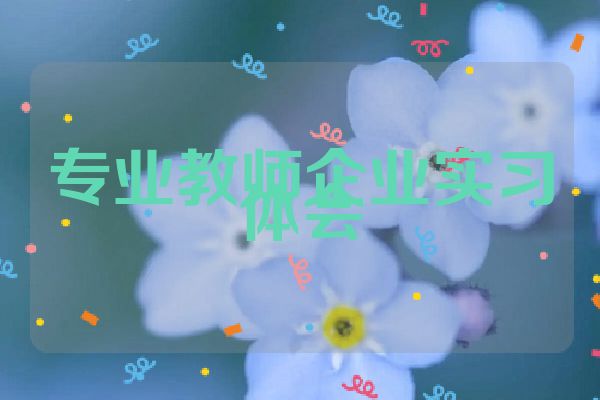 专业教师企业实习体会