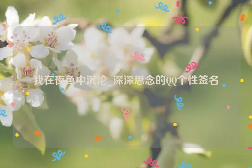 我在夜色中沉沦_深深思念的QQ个性签名