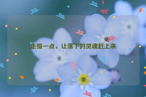 走慢一点，让落下的灵魂赶上来