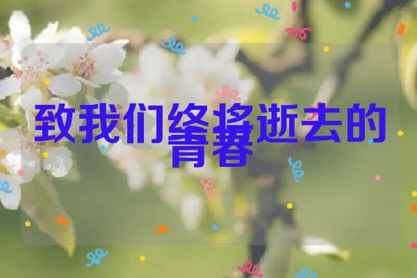 致我们终将逝去的青春