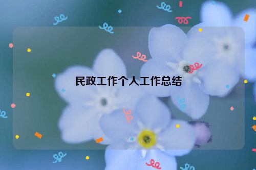 民政工作个人工作总结