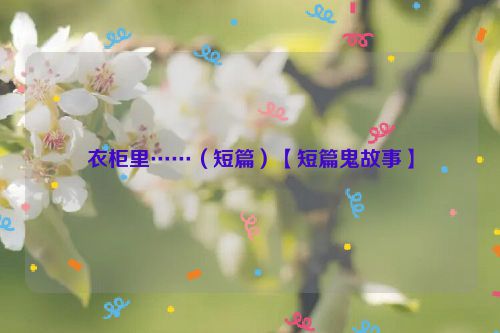 衣柜里……（短篇）【短篇鬼故事】